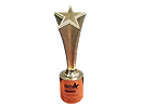Digital Campaign Award